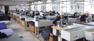 仲尼在高郵艾森絲服飾廠工作期間的養老保險政策解析